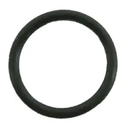 O-Ring P-22