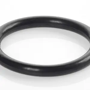 O-Ring P22A